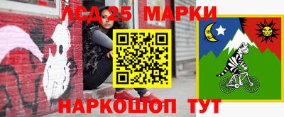 индика Сланцы