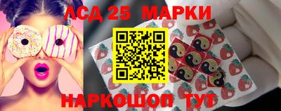 индика Сланцы