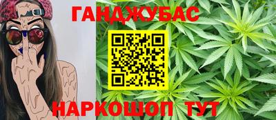индика Сланцы
