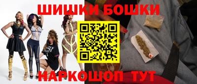 индика Сланцы