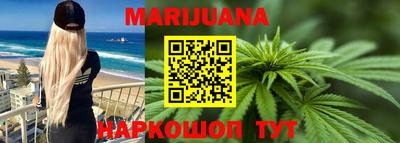 индика Сланцы