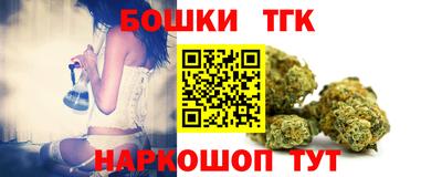 индика Сланцы