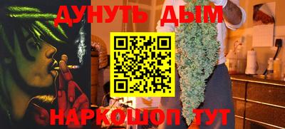 индика Сланцы
