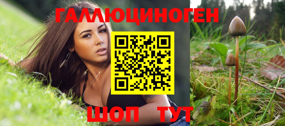 Ялта  Галлюциногенные грибы GOLDEN TEACHER  Вход с VPN 